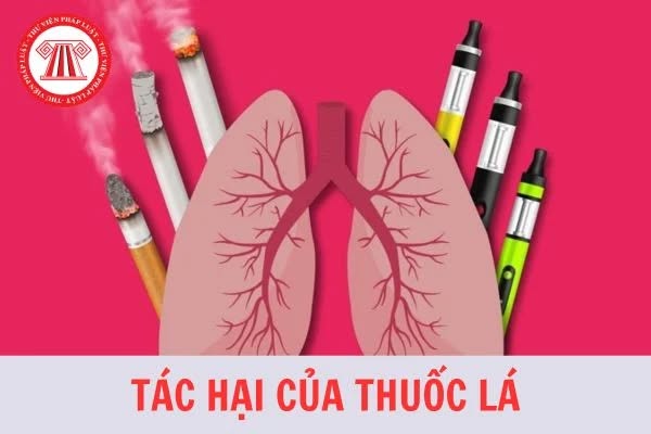 🚭 TRẠM Y TẾ VÂN HÀ CẢNH BÁO: TÁC HẠI CỦA THUỐC LÁ 🚭